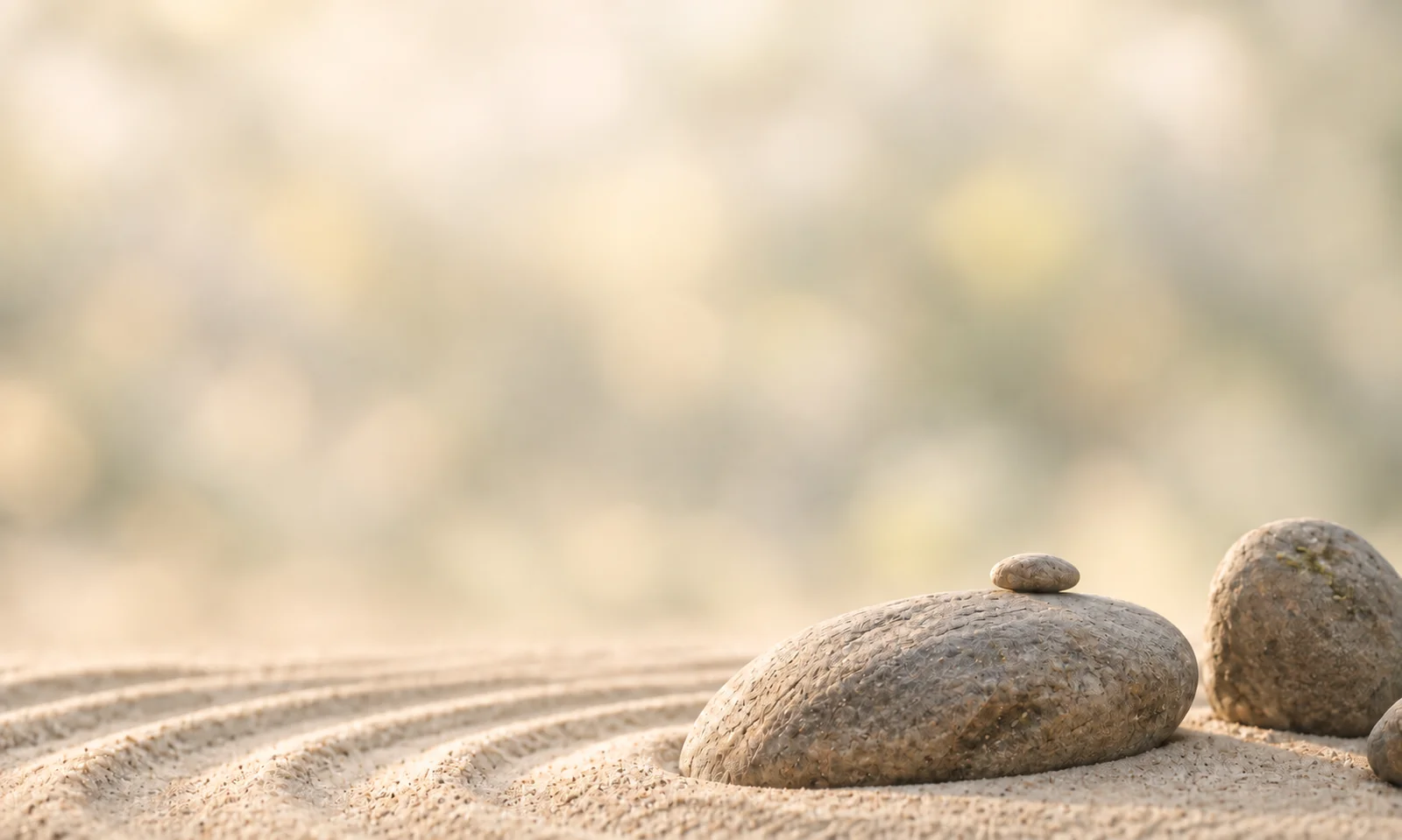Sai screenshot 1