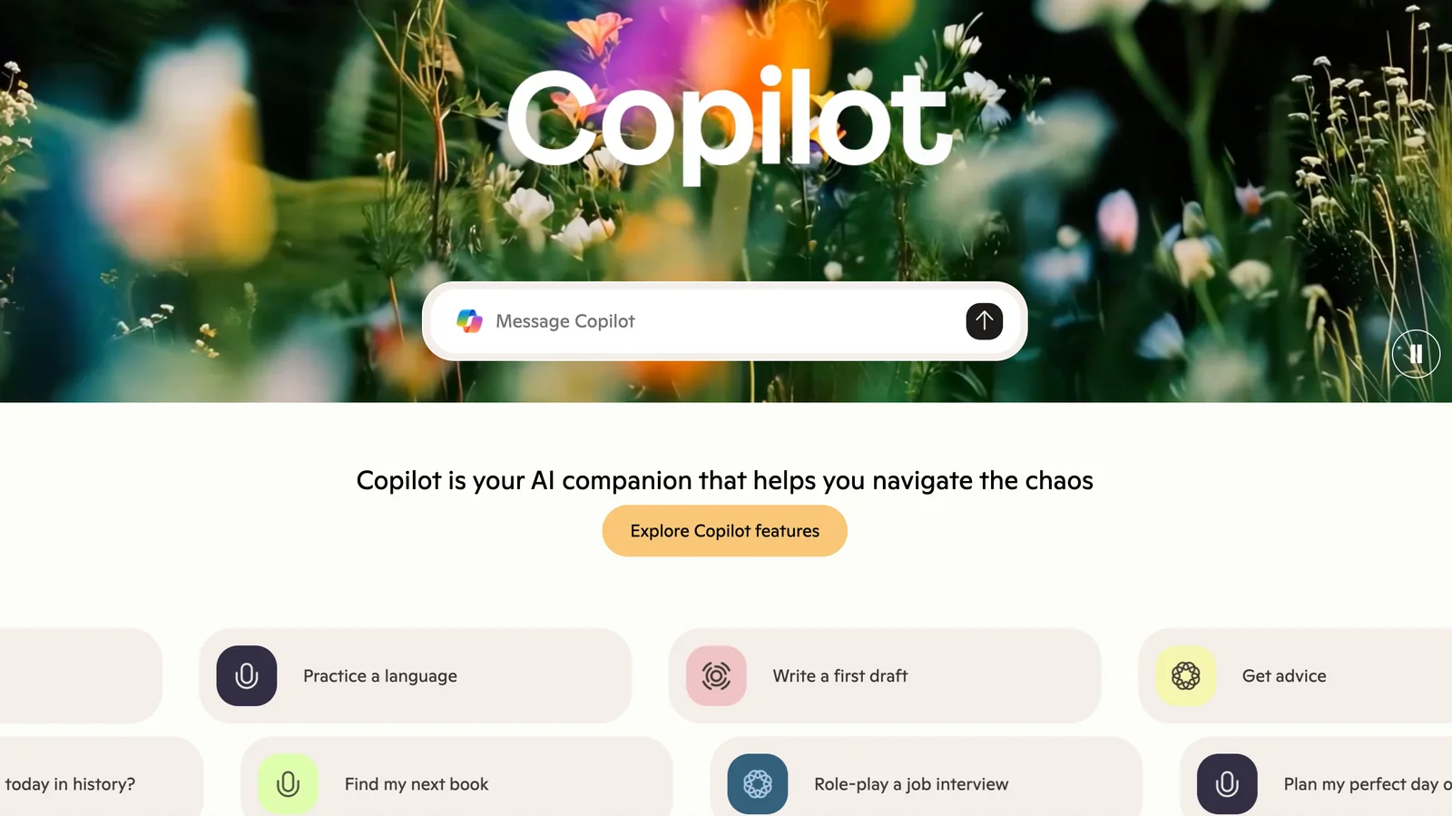 Copilot screenshot 1